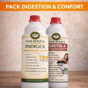 pack digestion & confort – indigex & gastul+
